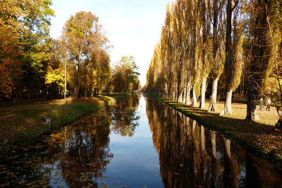 Reflection of trees in lake against sky