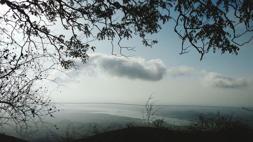 Scenic view of silhouette tree against sky