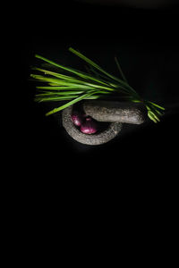 Close-up of bread against black background