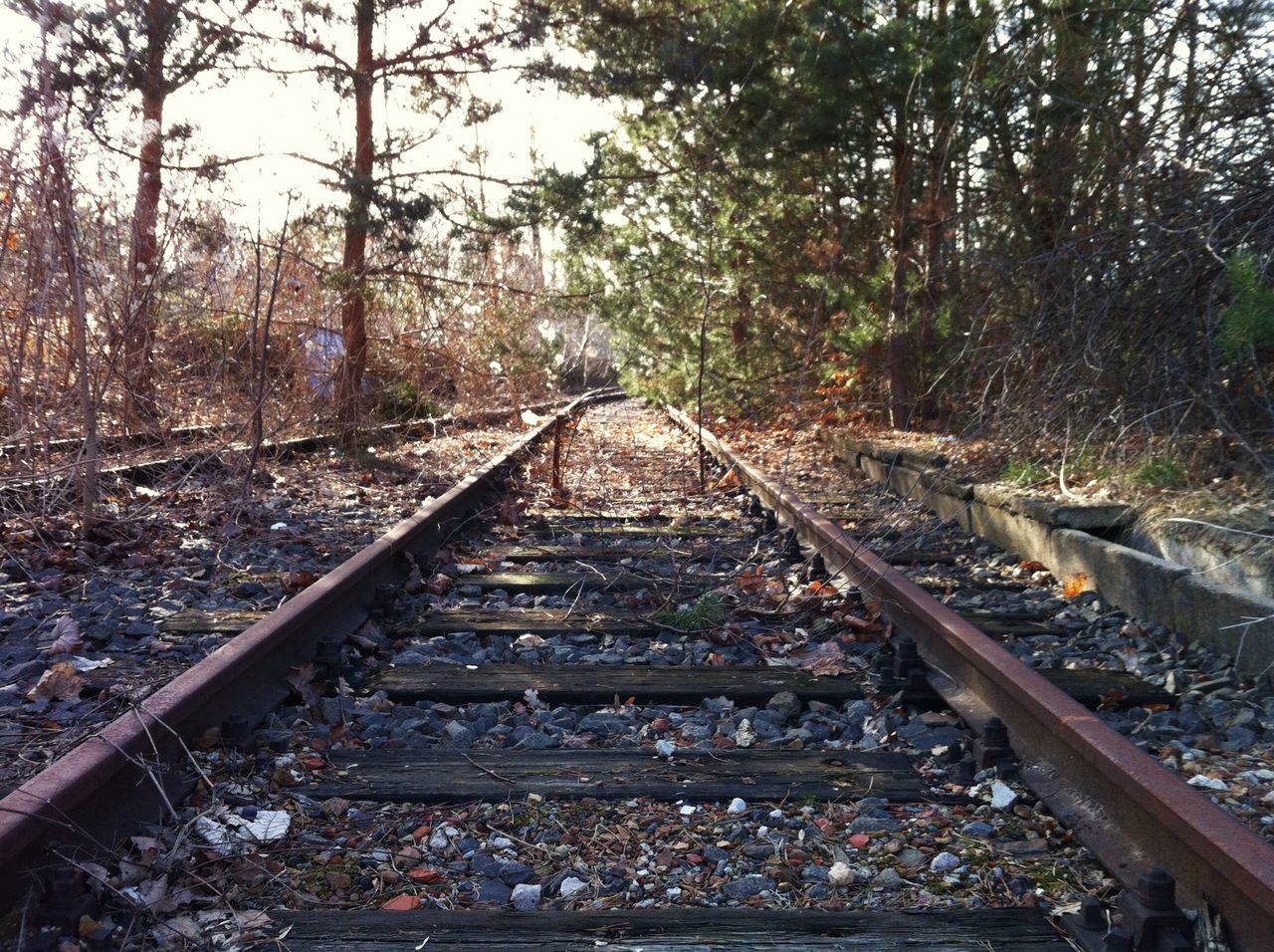 railroad track, rail transportation, transportation, tree, the way forward, diminishing perspective, railway track, vanishing point, public transportation, stone - object, forest, day, gravel, metal, rock - object, travel, straight, nature, no people, outdoors