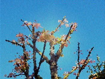 Low angle view of illuminated plant against blue sky