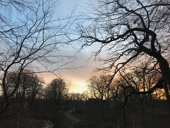 Silhouette bare trees against sky during sunset