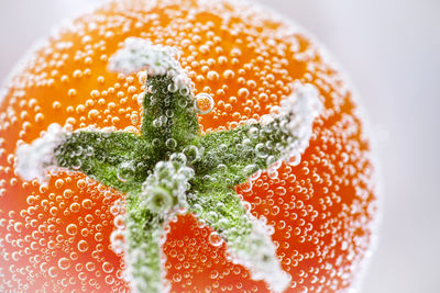 Close-up of drink against white background