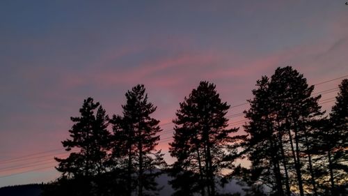 Low angle view of silhouette trees against sky during sunset