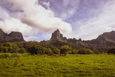 Scenic view of landscape against sky