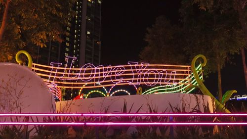 Light trails in park at night