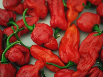 Full frame shot of jalapeno peppers