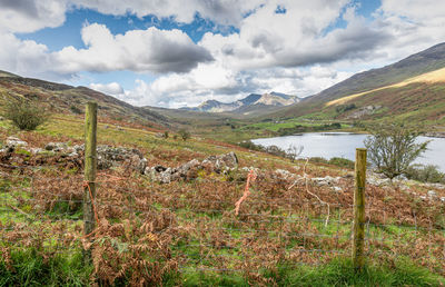 Scenic view of field by lake against sky