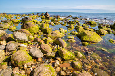 Rocks on beach against sky