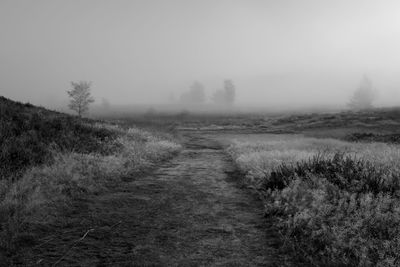 Footpath passing through grassy landscape in foggy weather