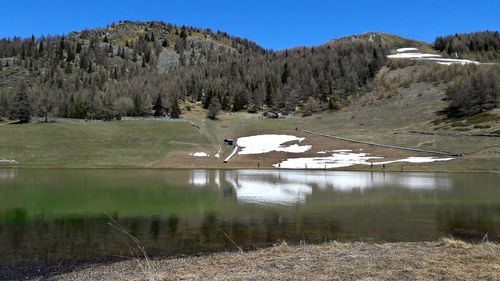 View of birds on lake against mountain