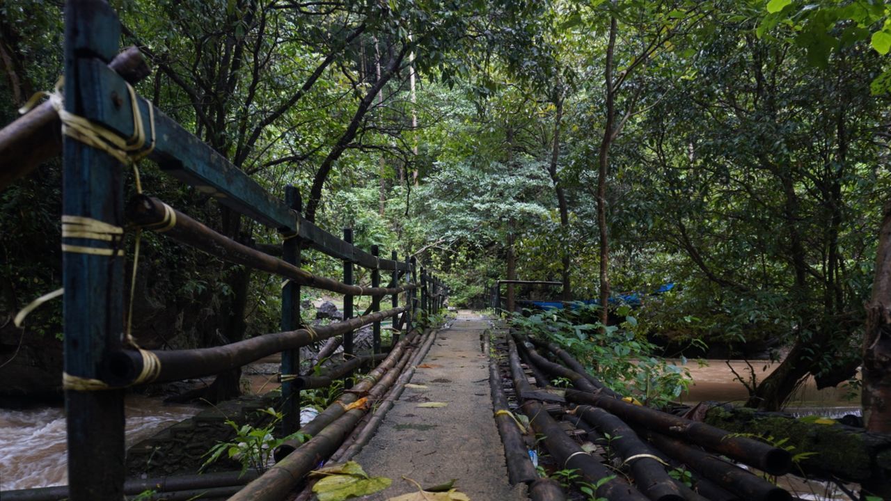 Saite Crossing Bridge, Leanglondong Tourism, Bantimurung Bulusaraung National Park, Maros Regency, South Sulawesi, Indonesia, February 2023 shooting #photography #landscape #nature #photography #EyeEm #Nature  #Indonesia