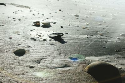 High angle view of footprints on wet sand at beach