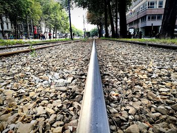 Railroad track amidst trees