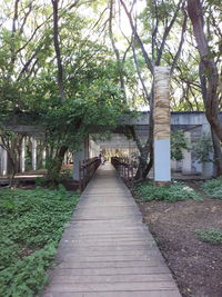 Walkway amidst trees