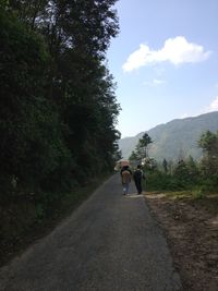 Rear view of man walking on road