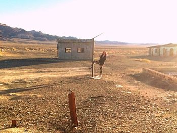 Man standing in a field