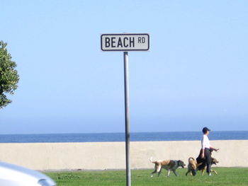 Woman with dogs by information sign at beach against clear sky