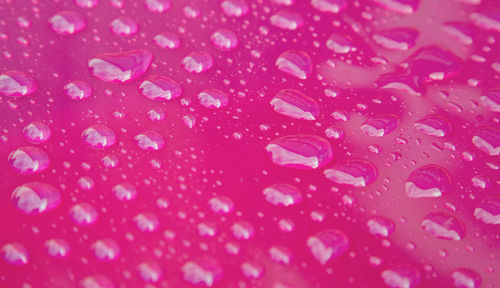 Full frame shot of raindrops on pink