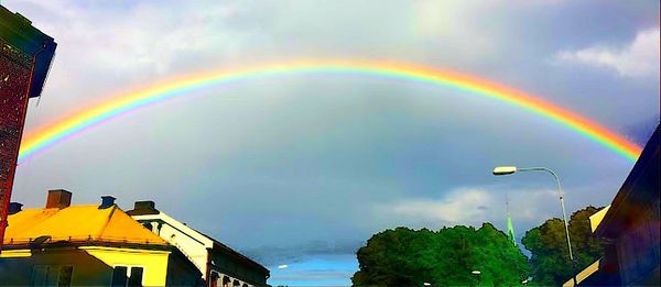 Rainbow over trees against sky