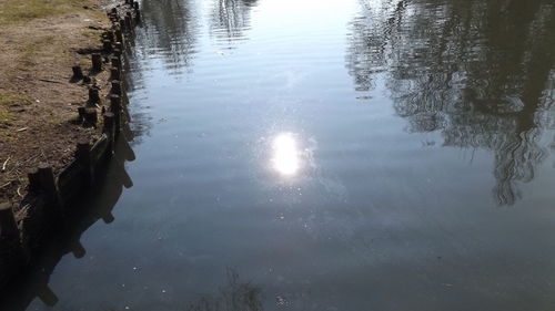 Reflection of trees in water