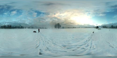 Snow covered landscape