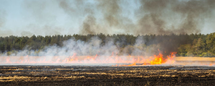 Panoramic shot of bonfire on field against sky