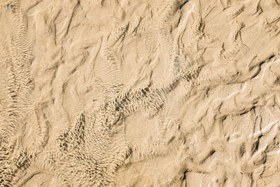 Full frame shot of sand in sunny day