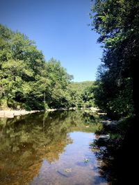 Scenic view of lake in forest against clear sky