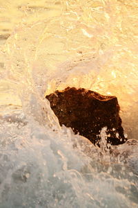 Close-up of rock in sea