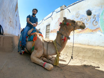 Low angle view of young man with camel