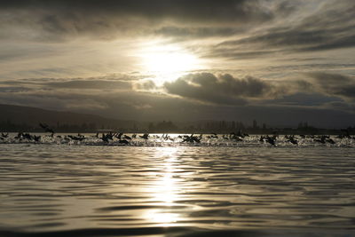 Scenic view of sea against sky during sunset