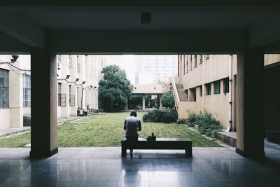 Rear view of man sitting on a bench