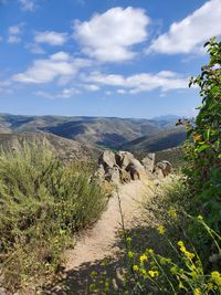 Scenic view of landscape against sky