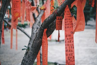 Close-up of mosque hanging by gate against temple