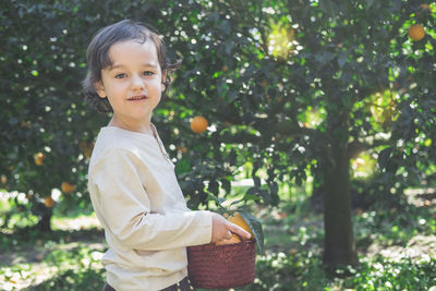 A little boy is holding a basket of bright oranges in his hands.