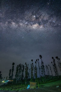 Low angle view of trees on field against sky at night