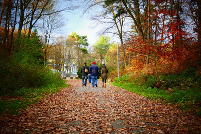 Rear view of people walking on road in forest