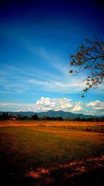 Scenic view of field against sky