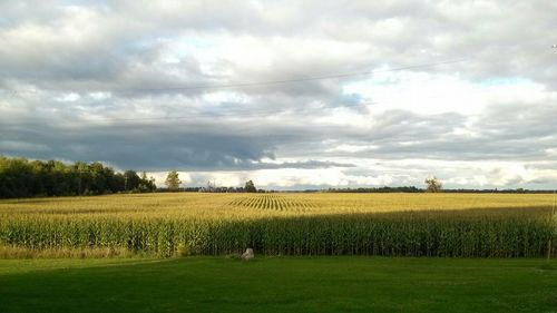 Scenic view of field against cloudy sky