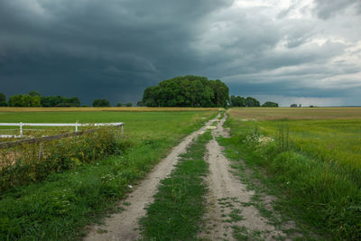 A dirt road through green fields, trees and a storm cloud.