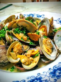 Close-up of food served in plate