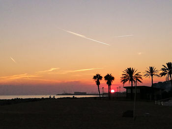 Silhouette palm trees on beach against sky during sunset