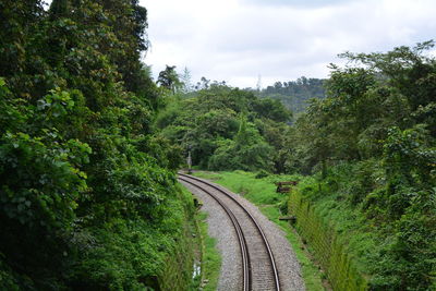 Railroad track amidst trees in western ghats of india