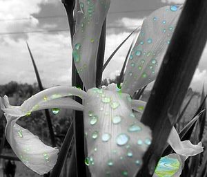 water
