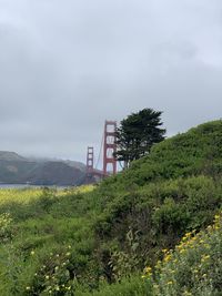 Scenic view of landscape against golden gate bridge