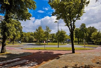 Trees in park against sky