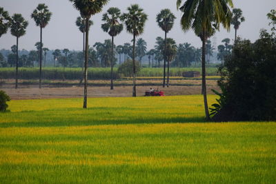 Scenic view of farm against sky