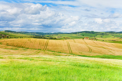 Scenic view of agricultural field against sky