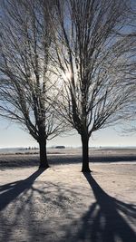 Bare tree on snow covered landscape against sky